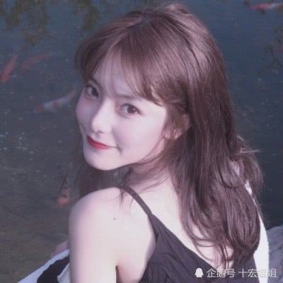 宠物小精灵九游手游下载