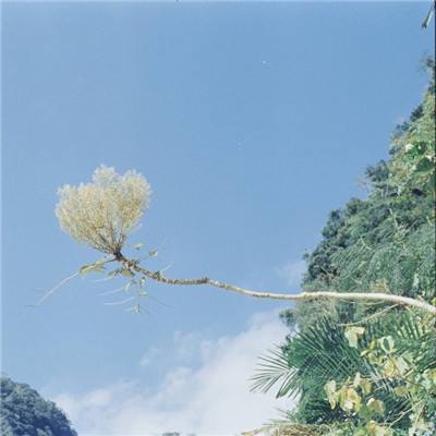 360战舰大海战手游下载