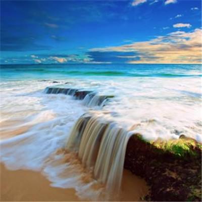 梦幻岛大冒险测试版下载